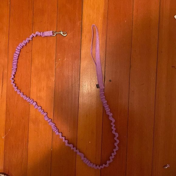 Other - Dog Leash